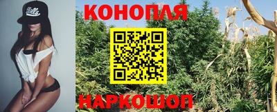 дурь Будённовск